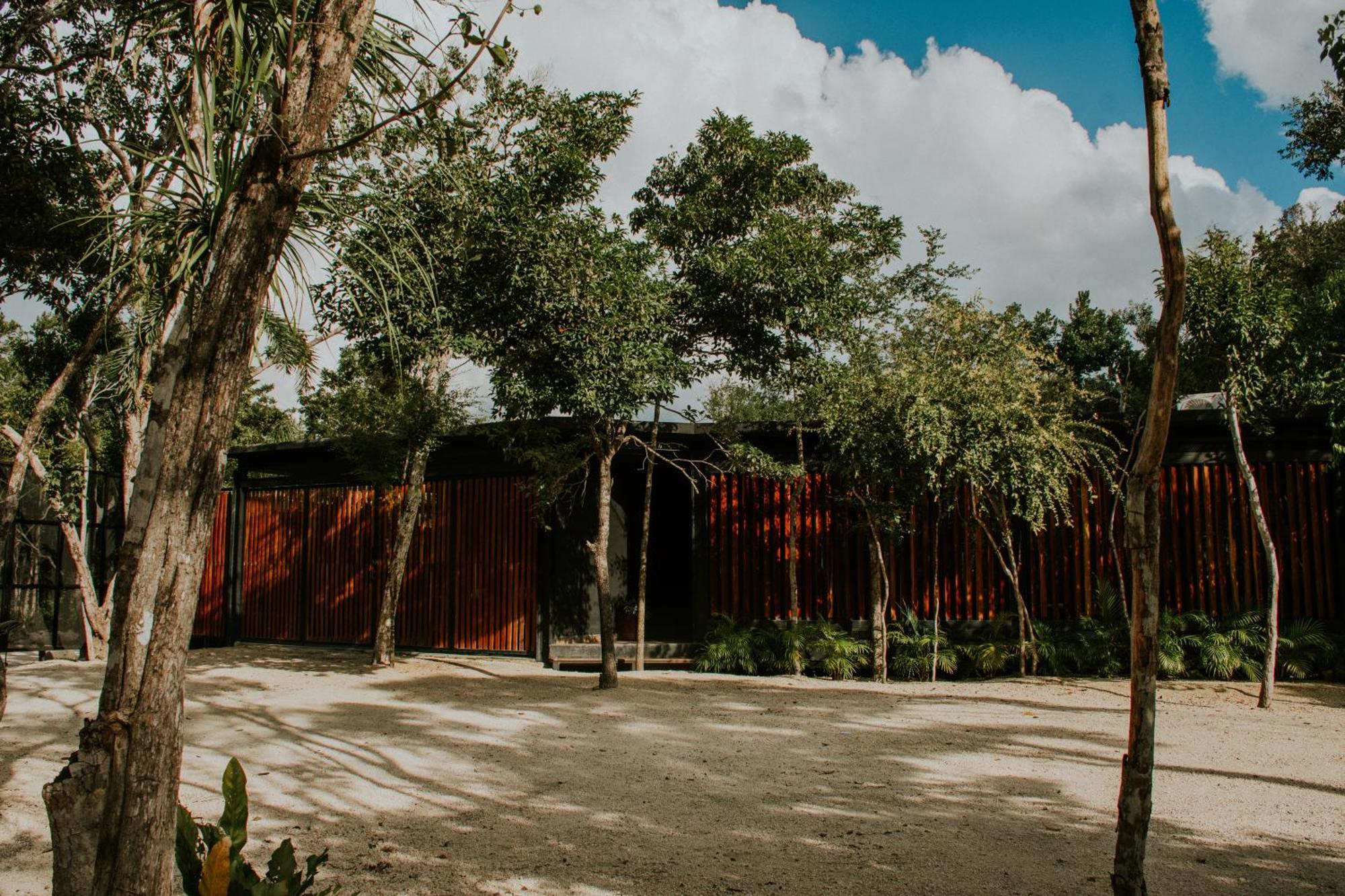 K Naj Community Cenote Residence Balcheil المظهر الخارجي الصورة